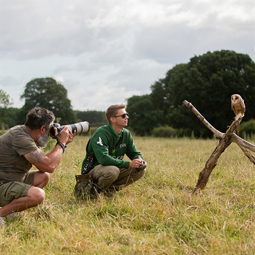 Bird of Prey Photography Nottinghamshire at Farnsfield near Newark Bird of Prey Photography Nottinghamshire at Farnsfield near Newark
